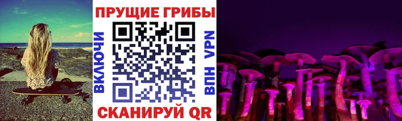 Галлюциногенные грибы Psilocybine cubensis  Купить где  Киселёвск 